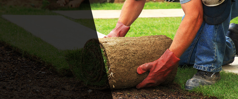 Westwego Landscapers